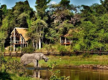 Camp Savuti Hotel Eksteriør billede
